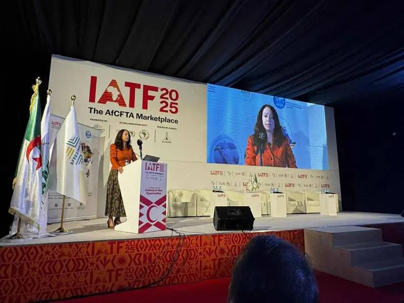 Mrs. Mansouri opens the mini-summit of African agencies for investment promotion